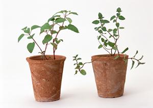 高品質な低反発マットレスが購入できます