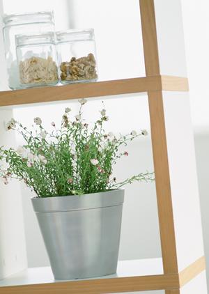 究極のオーダースピーカーガイド：あなた専用デザインと音質を実現するカスタムスピーカーの選び方