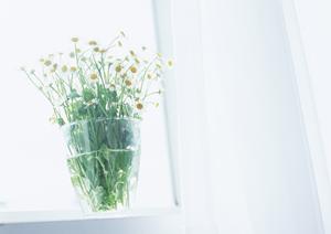 ソナチネで中古家具を売ることができる